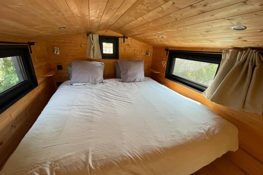 Myinsolite - Tiny-House, Jacuzzi, Brasero, Piscine Aigues-Mortes Exterior foto