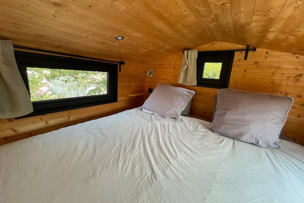 Myinsolite - Tiny-House, Jacuzzi, Brasero, Piscine Aigues-Mortes Exterior foto